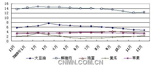 新聞圖片2009013938381231810718812_2826.jpg