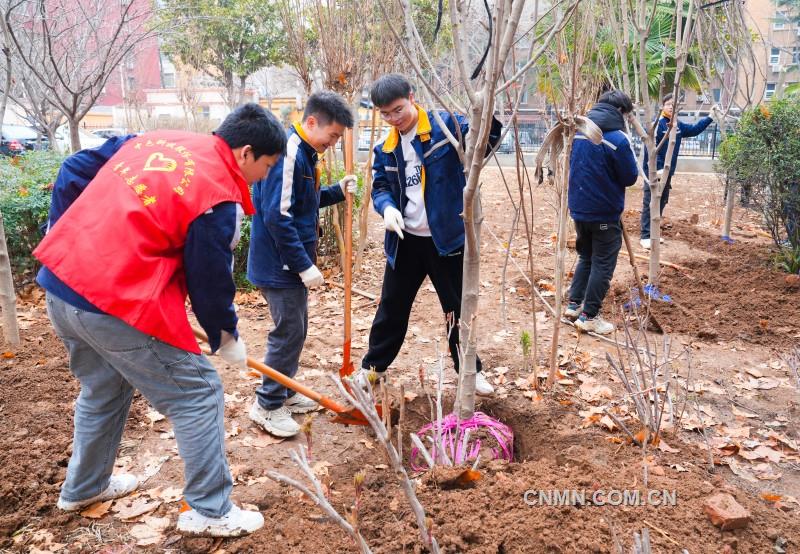 中色科技團委植樹護綠學(xué)雷鋒