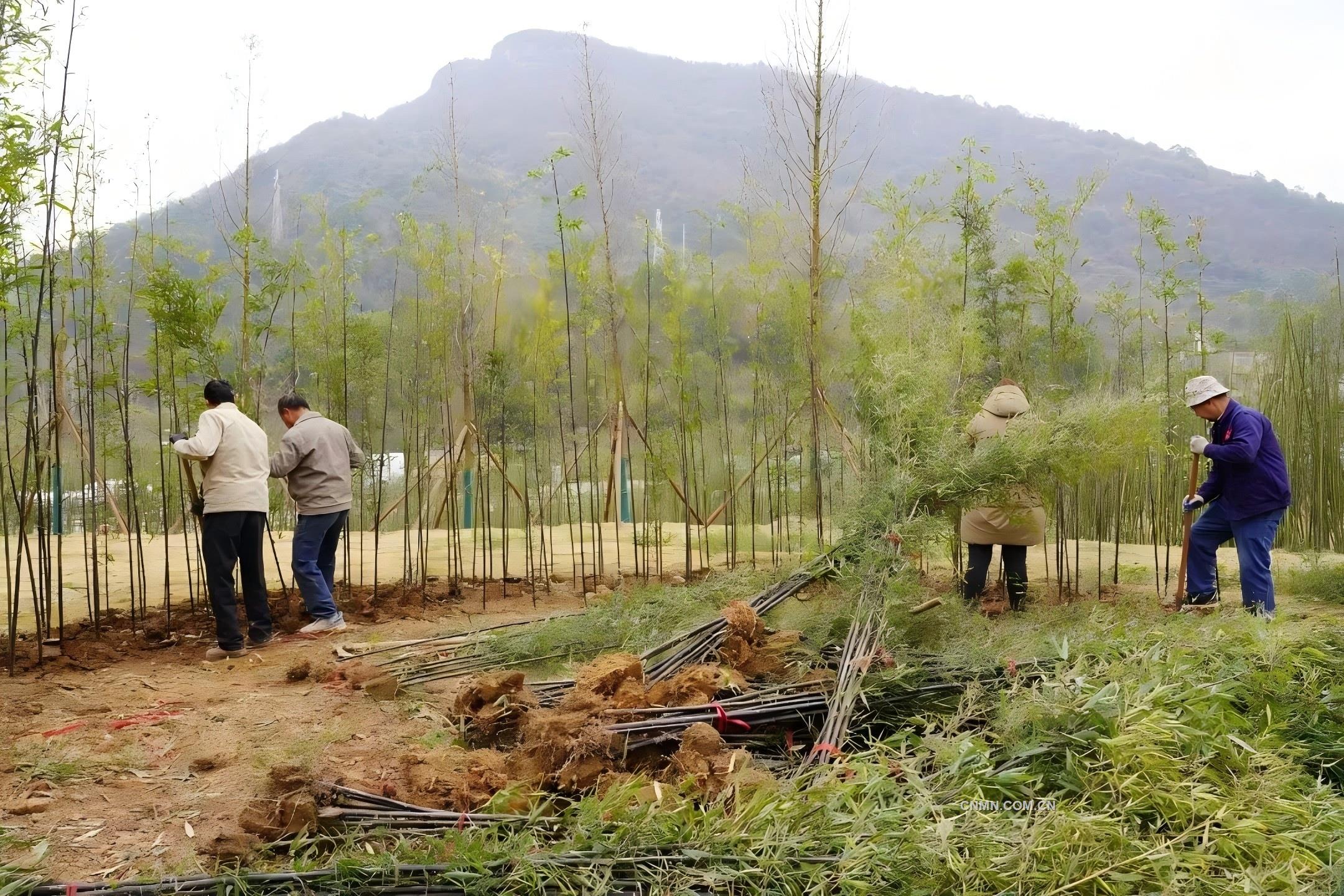 讓廢棄礦山重煥生機——江西省地質(zhì)局第三大隊探索生態(tài)與文化共生的創(chuàng)新實踐