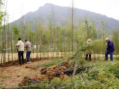 讓廢棄礦山重煥生機——江西省地質(zhì)局第三大隊探索生態(tài)與文化共生的創(chuàng)新實踐